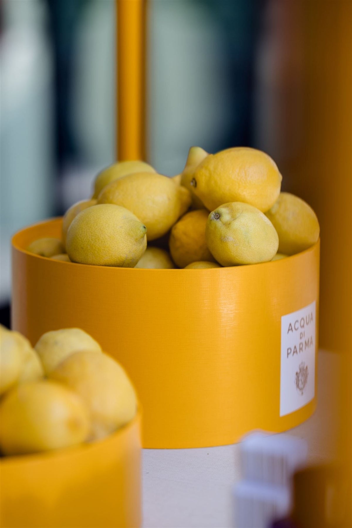 Acqua di Parma & Globus